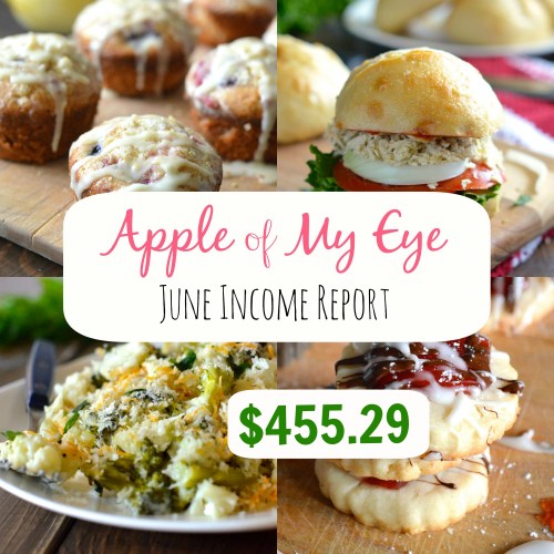 june income report- $455.29