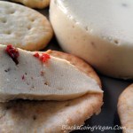 Test Kitchen: Homemade Vegan Cheese by Vegangela