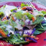 Red Onion and Garlic Salad Dressing