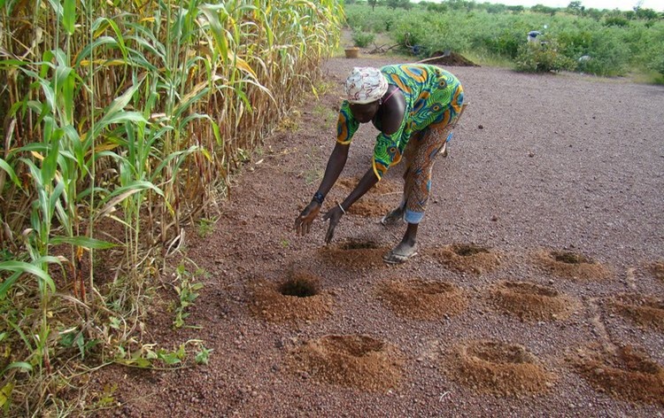 Yes, Africa will feed itself within the next 15 years
