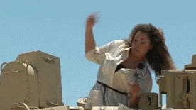 bees.gif?resize=276%2C155