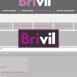 Instituto Brivil