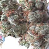 Game Over OG