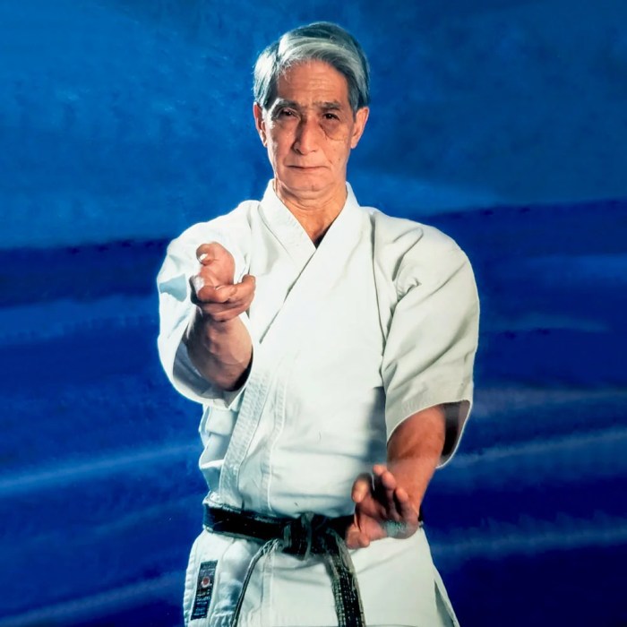 Sensei meaning