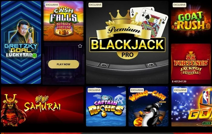 bruce bet casino login