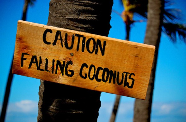 Top 10 Bizarre Insurance Claims Listverse