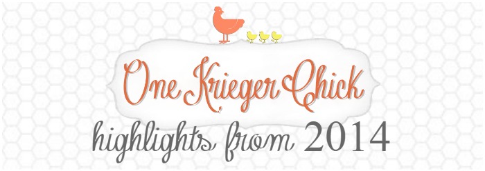2014 year in review slider