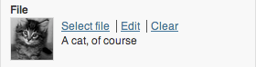 file-field