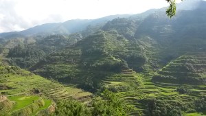 Point de vue des rizières de Banaue