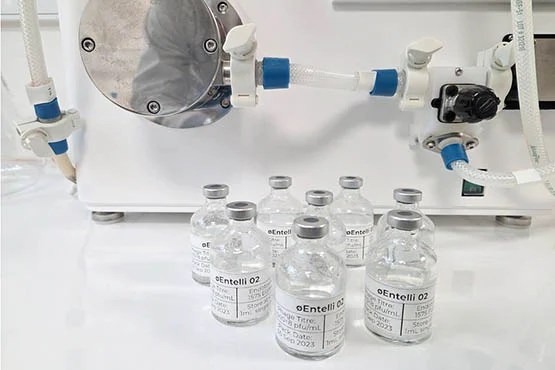 Scientists create ‘virus cocktail’ to fight superbugs Scientists create ‘virus cocktail’ to fight superbugs