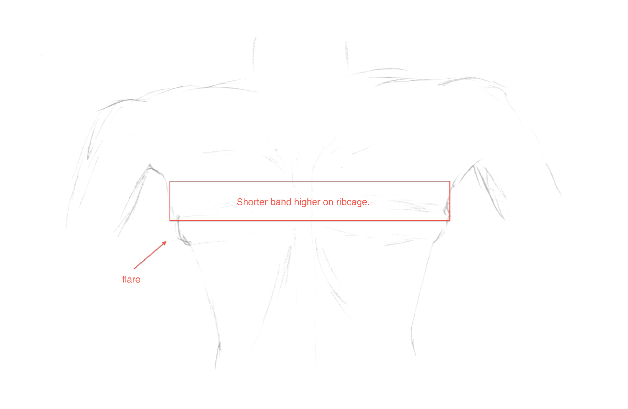 Example of how a shorter band positioned higher on the ribcage fits over a ribcage flare. Image by WideCurves.com.