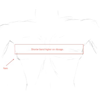 Example of how a shorter band positioned higher on the ribcage fits over a ribcage flare. Image by WideCurves.com.