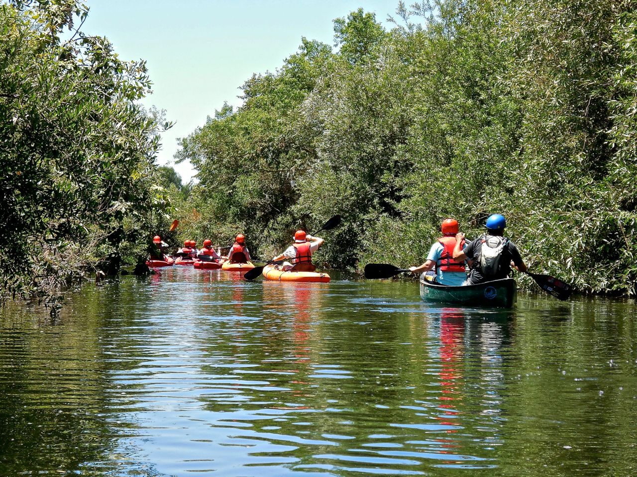Kayaking the Los Angeles River Adventure Geezer