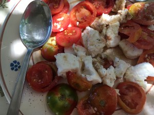Tomato and mozzarella salad