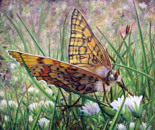 一些旧物件的独特魅力_艺术家_Ricardo Renedo