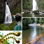Reserva Natural Privada Ram Tzul, Purulhá Baja Verapáz, Guatemala