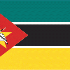 Consultores na área de SAÚDE / Maputo, Moçambique