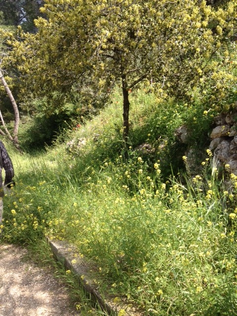 photo 1(1)
