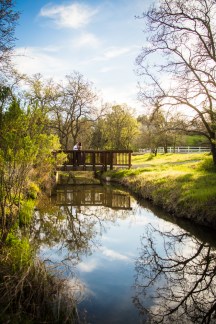 Walnut Creek Engagement