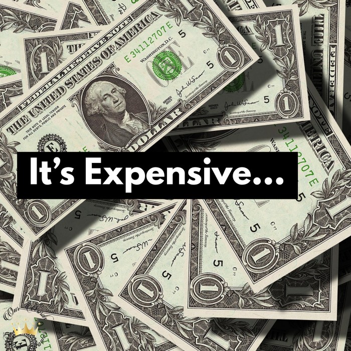 It’s Expensive: The Costly Price of Being You, Saving You, and Praising ... Expensive in spanish