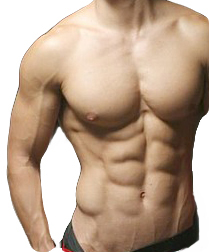 perut six pack