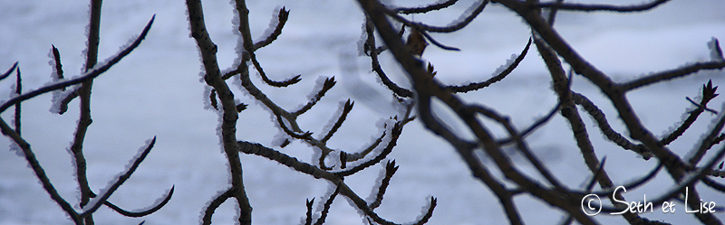 blog voyage canada photo pvt edmonton hiver river valley branche glace