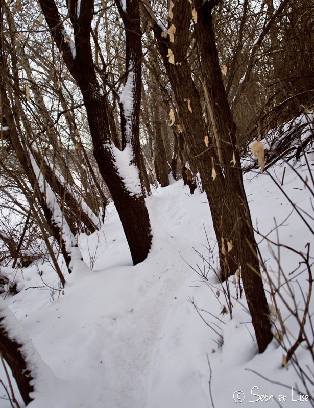 blog voyage canada photo pvt edmonton hiver river valley chemin