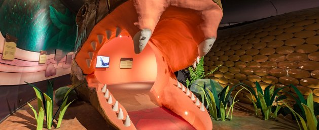 (cr: http://www.siamserpentarium.com)