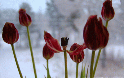 10 Interesting Facts About The Month December