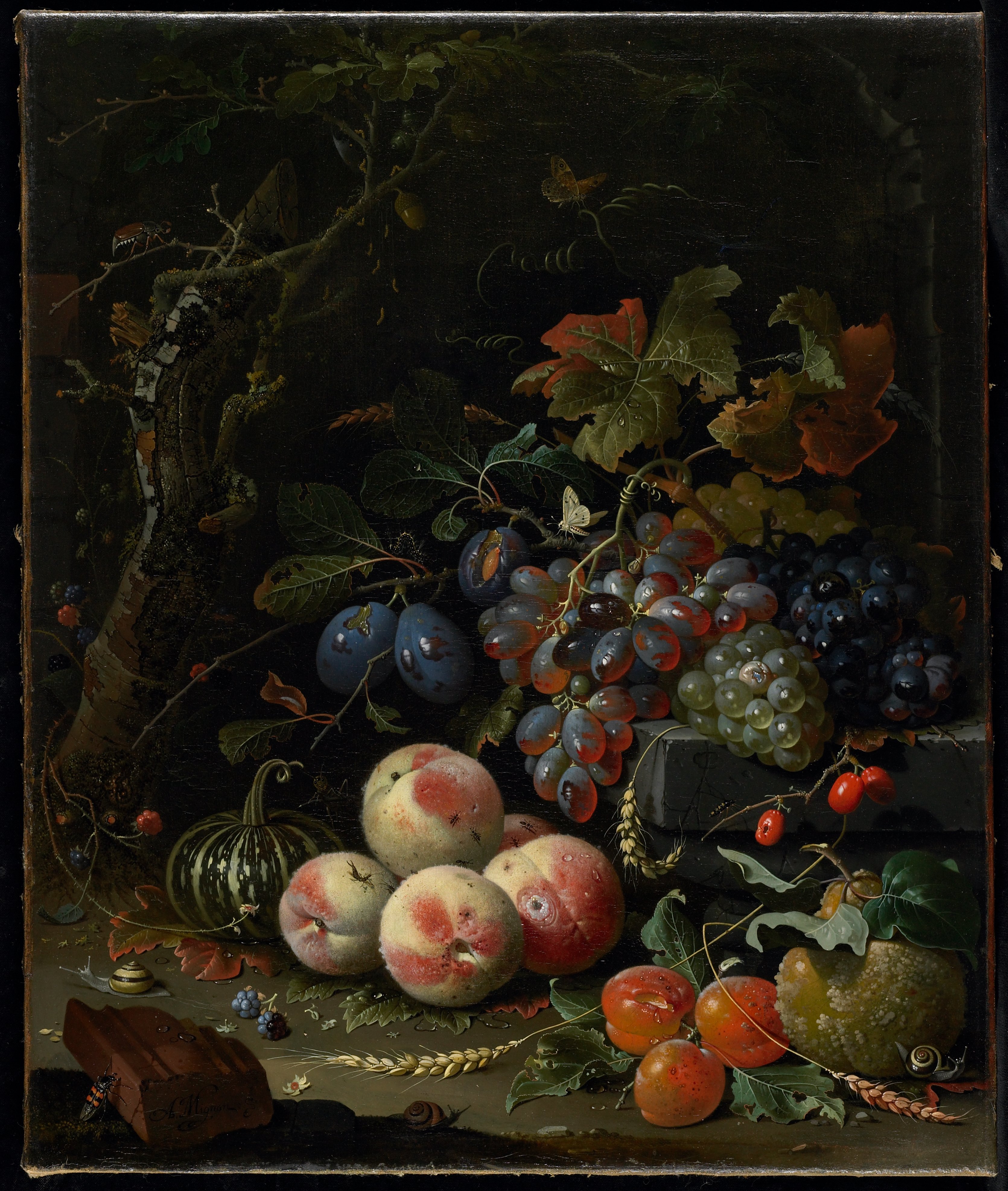 Still Life With Fruits Foliage And Insects Abraham Mignon Mia