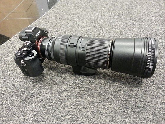 Its sensor has similar resolution to the . Re: Remedy: Sony A7 with Tamron 200-500mm: Sony Alpha