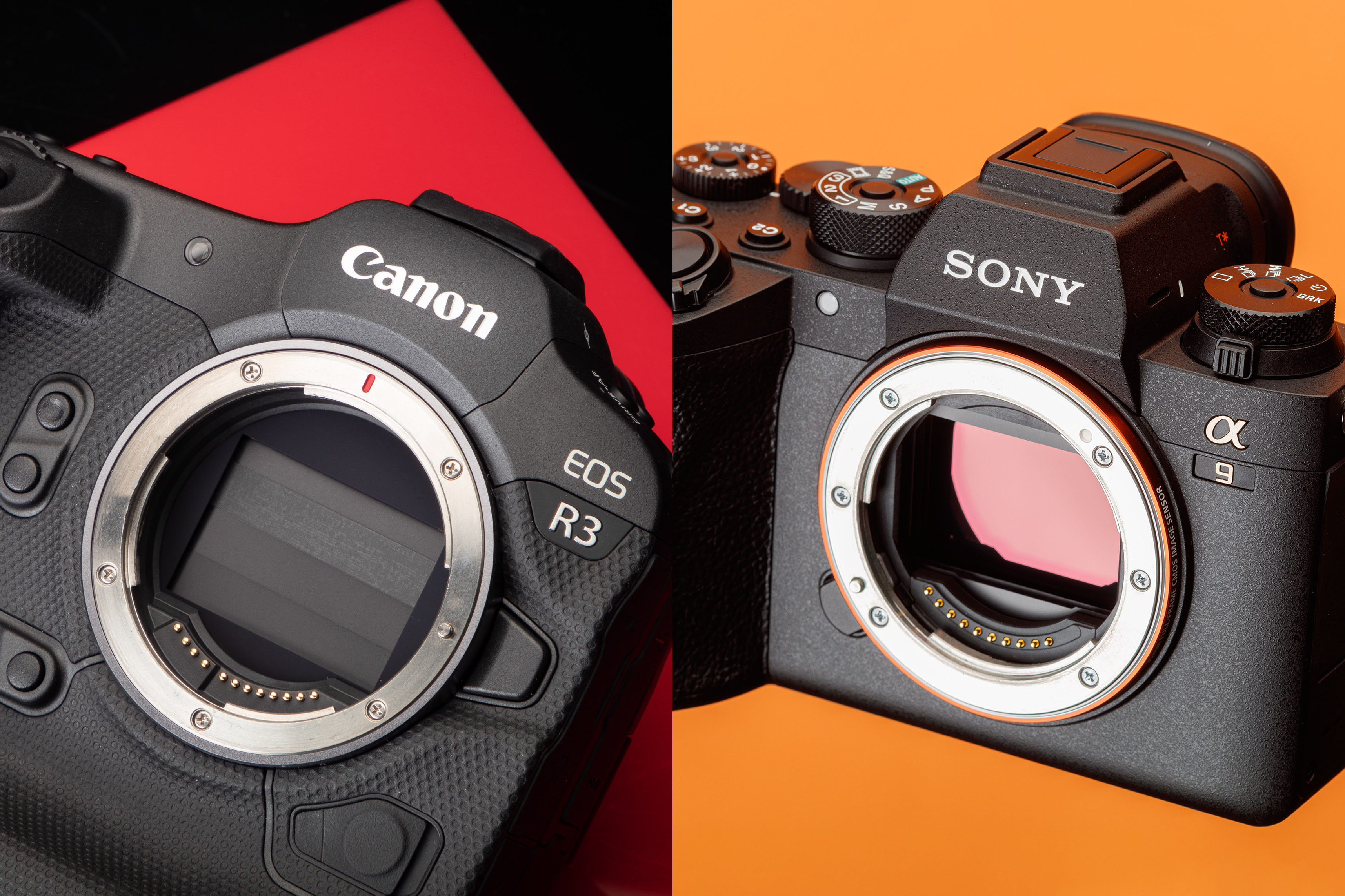 Rádi v těchto aktivitách budeme pokračovat. Sports Shooters Compared The Canon Eos R3 Versus The Sony A9 Ii Digital Photography Review