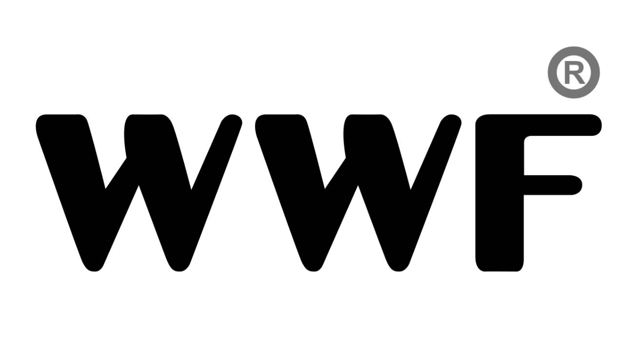 Being a realty agent or a construction business owner in a competitive world you need an outstanding realtor logo. Logo WWF: la historia y el significado del logotipo, la