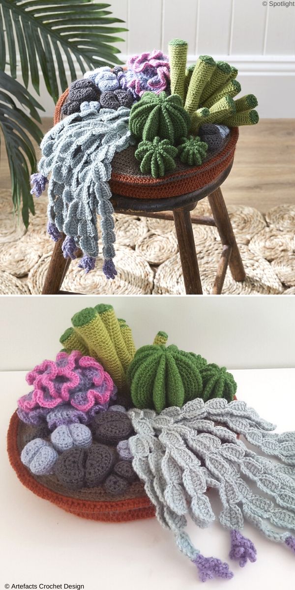 Parents may receive compensation when you clic. Amigurumi Succulents
