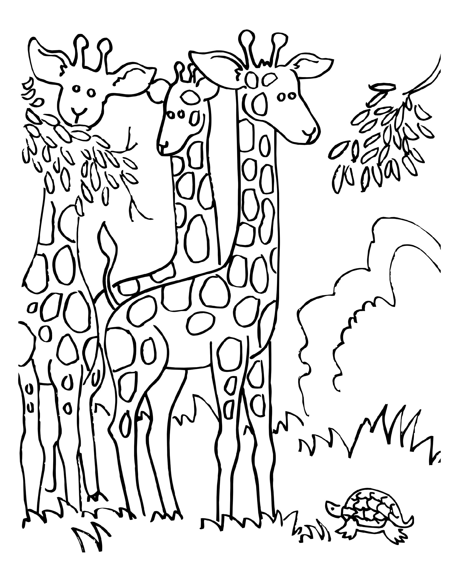 You can search several different ways, depending on what information you have available to enter in the site's search bar. Giraffe Coloring Pages To Print 101 Coloring
