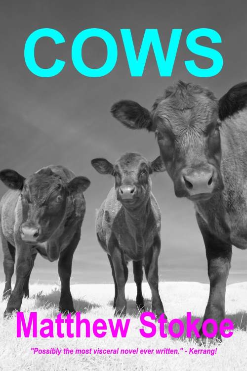 cows