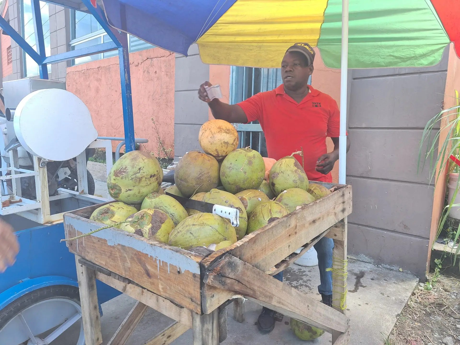 Vendedores de coco ganan hasta RD,000 diarios en negocio informal