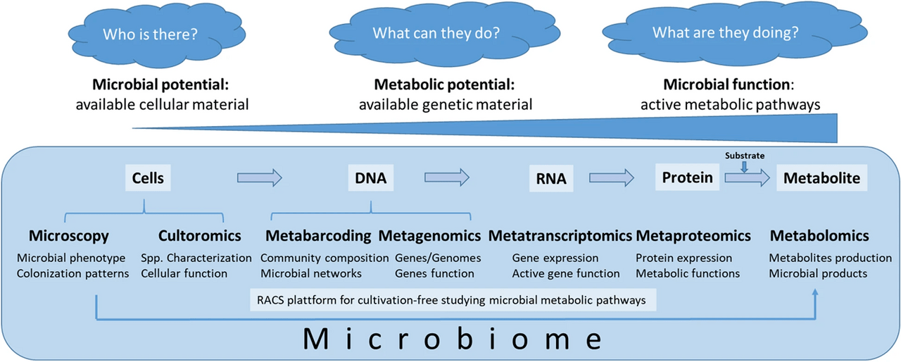 Estudos complexos de microbiomas cobrem várias áreas, começando pelo nível de células microbianas completas (microscopia, culturomática), seguidos pelo DNA (genômica de célula única [en], codificação metabólica, metagenômica), RNA (metatranscritômica), proteínas (metaproteômica) e metabólitos (metabolômica). Nessa ordem, o foco dos estudos desloca-se do potencial microbiano (aprender sobre a microbiota disponível no habitat) e do potencial metabólico (decifrar o material genético disponível) para o funcionamento microbiano (ex: descoberta de vias metabólicas ativas).[1]