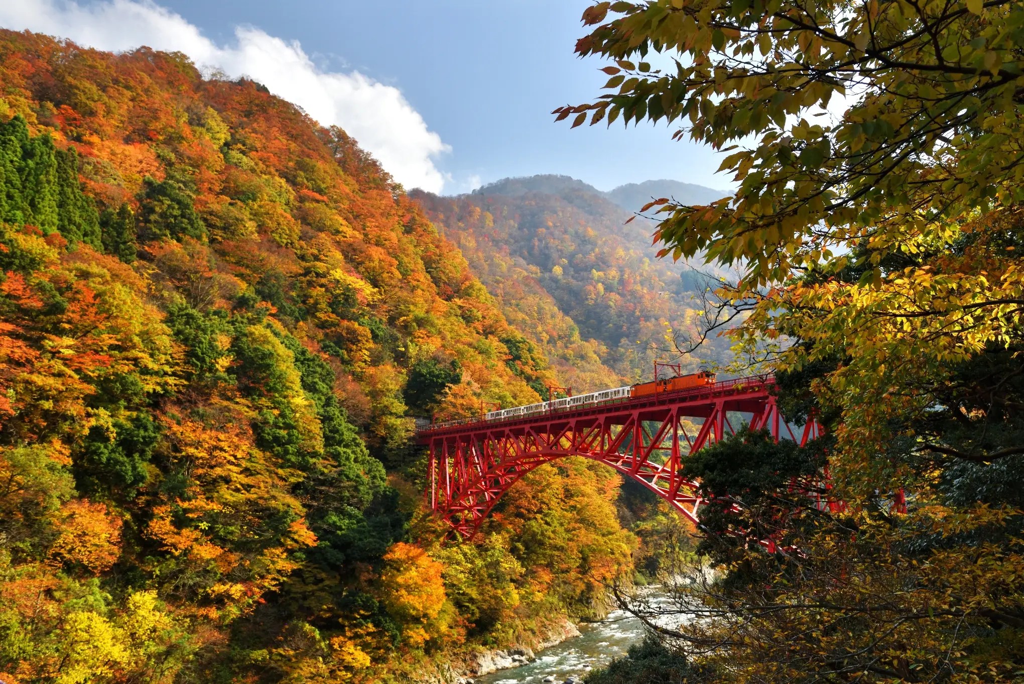一票爽玩台日雙鐵！阿里山林鐵x黑部峽谷限時互惠開跑