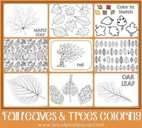 Grandparents day coloring page · baking cookies with grandma. Fall Leaves And Trees Coloring Printables 1 1 1 1