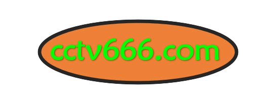 [TS/8GB]RAS-0253 QQOG-029 QQOG-030 XSJ120[U3C3]