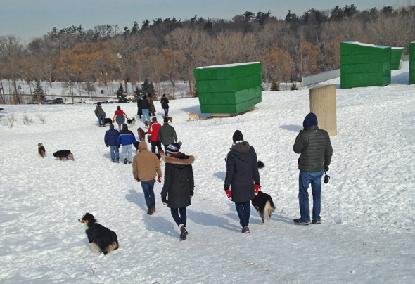 Jack darling small dog (under 25 lbs) park. Saturday Afternoon Jack Darling Park In Mississauga 27th Street