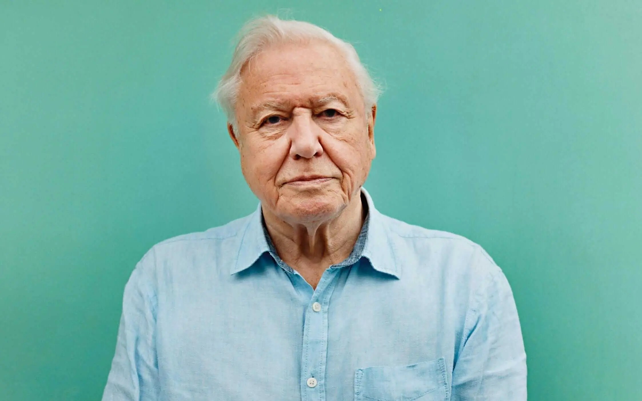 Comment les investisseurs perdent des crypto-monnaies. Animé par David Attenborough. Comment les investisseurs perdent des crypto-monnaies. Animé par David Attenborough. Photo.