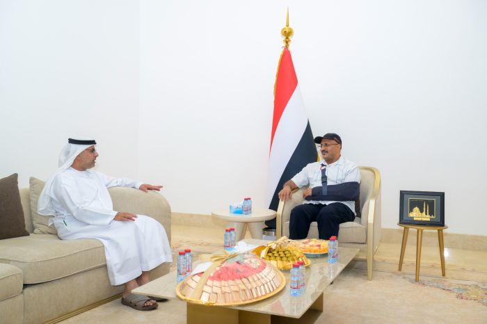 طارق صالح يلتقي سفير دولة الإمارات العربية المتحدة