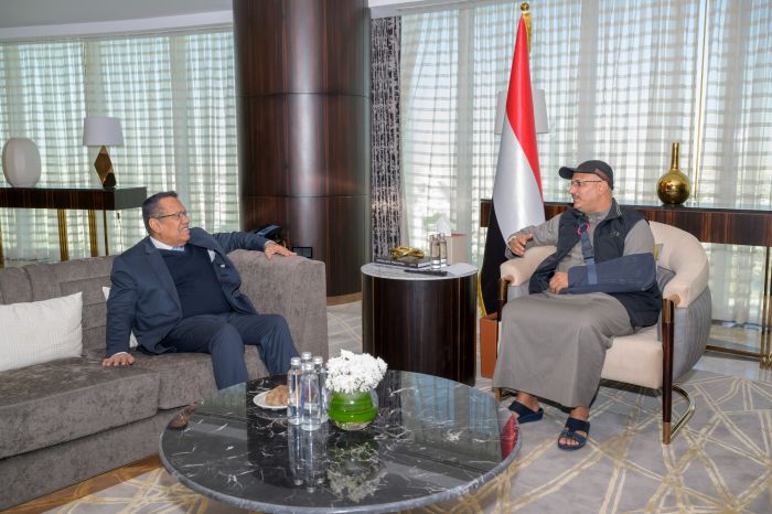 طارق صالح يلتقي بن دغر