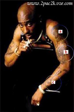 Welcome! Close Would You Like To Make This Site Your Homepage? It's Fast And Easy... Yes, Please Make This My Home Page! No Thanks Don't Show This To Me Again. Close .: Navigation :. The Man: :. Homepage :. Tupac News :. Biography :. Discography ... 454_x_300_jpg