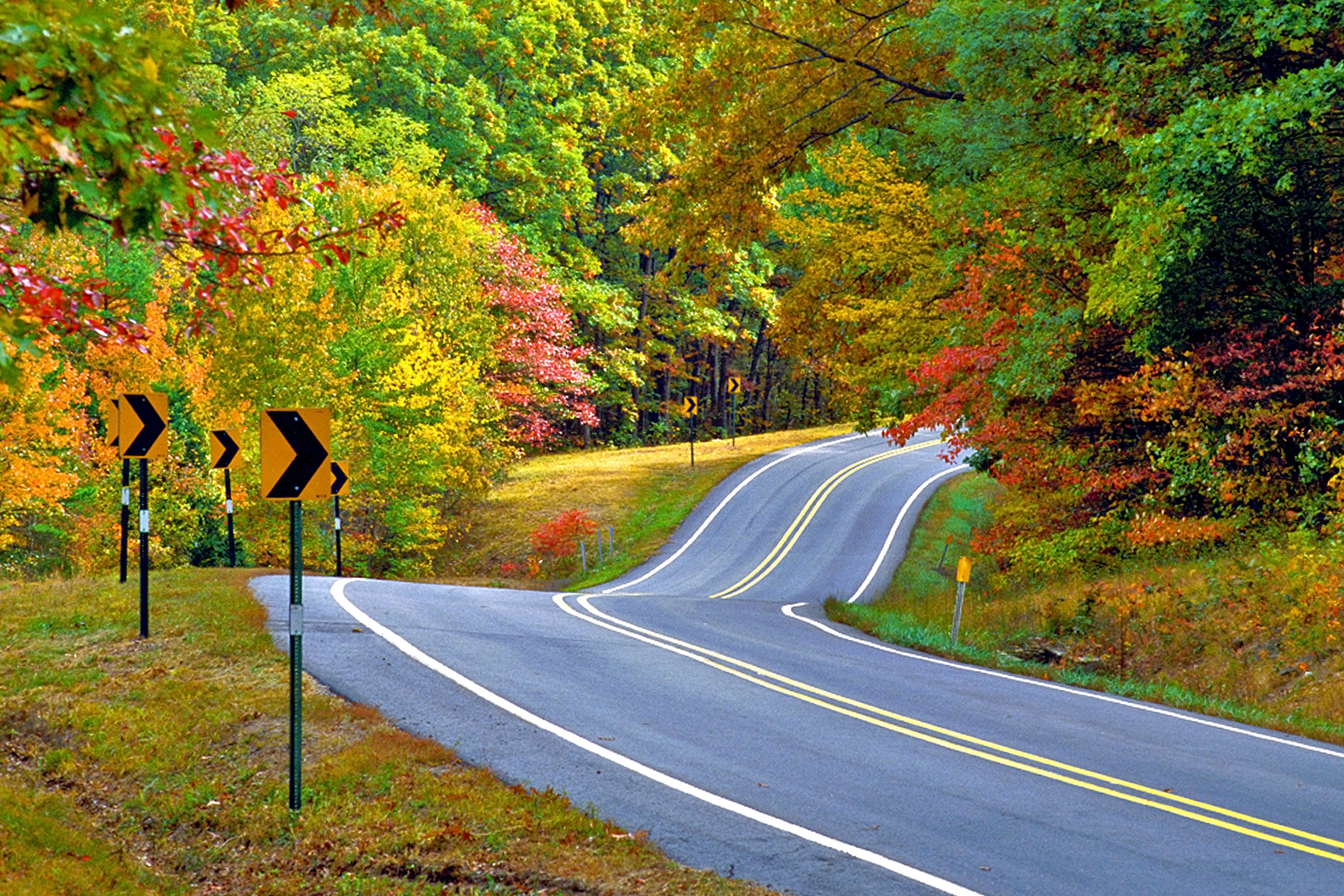 Short of changing career, aging 20 years overnight or simply giving up driving for good, it might at first glance seem hopeless. Real or Fake?: The Craziest Driving Laws From Around the World - Little Rock, Arkansas - 480-246