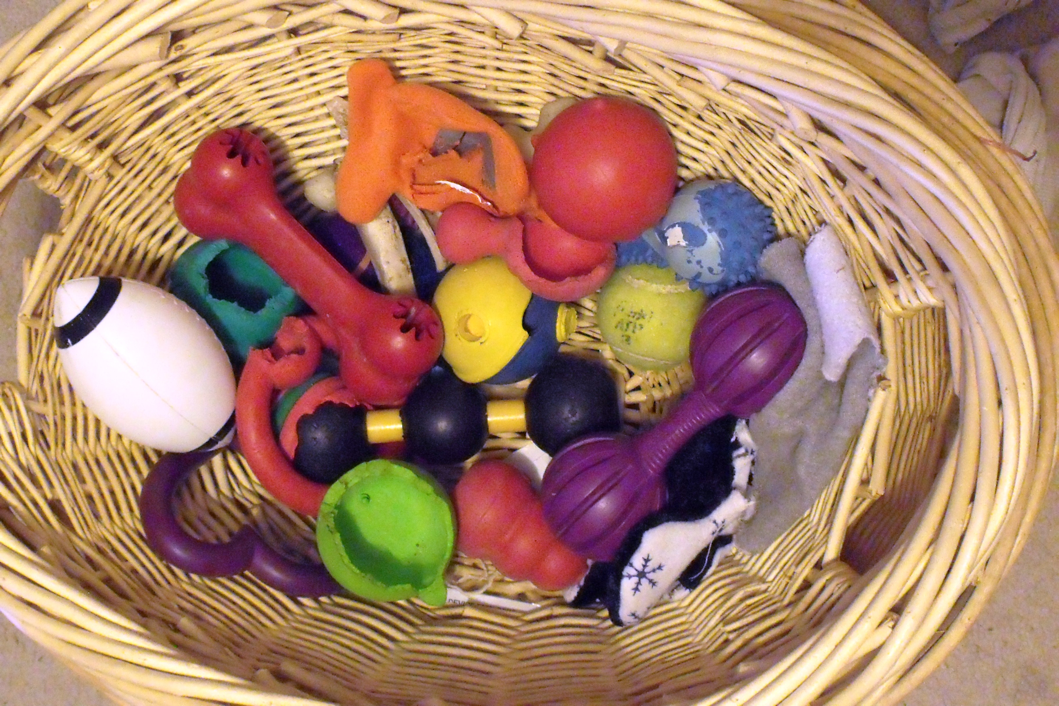 Busy Buddy Waggle Interactive Dog Toy 3 Quarters Today