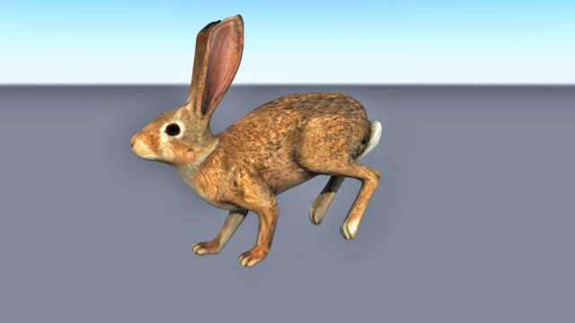 Animated Running Rabbit Low Poly 3d Model 3dhunt Co