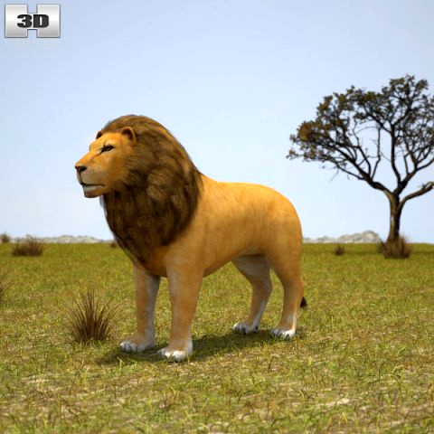 Lion 3d Model